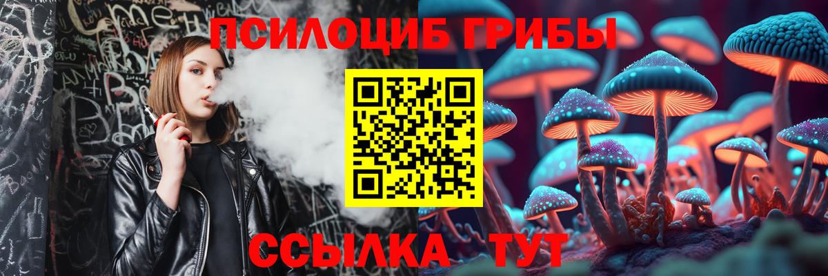 магазин    Вход с VPN  Унеча  Псилоцибиновые грибы MAGIC MUSHROOMS 